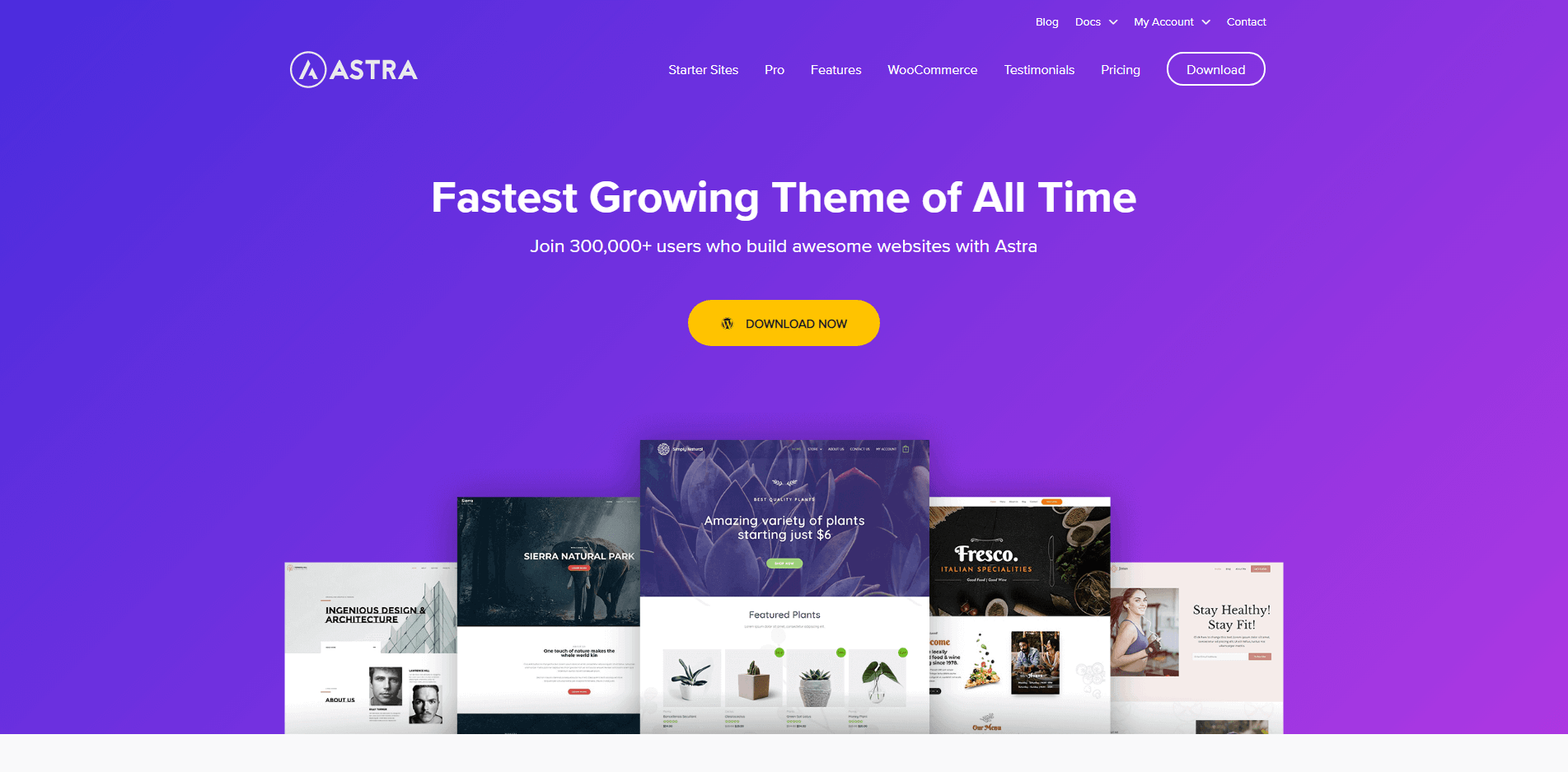 Astra - Best Elementor WordPress Themes