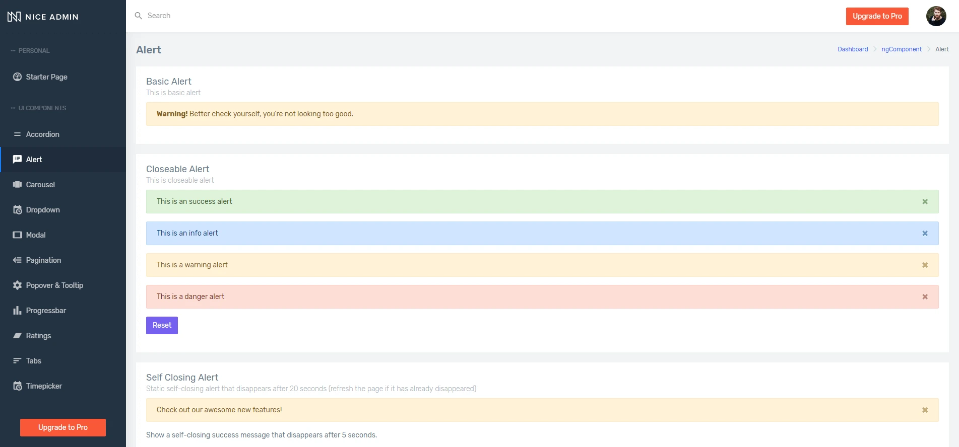 Nice Admin Angular Lite