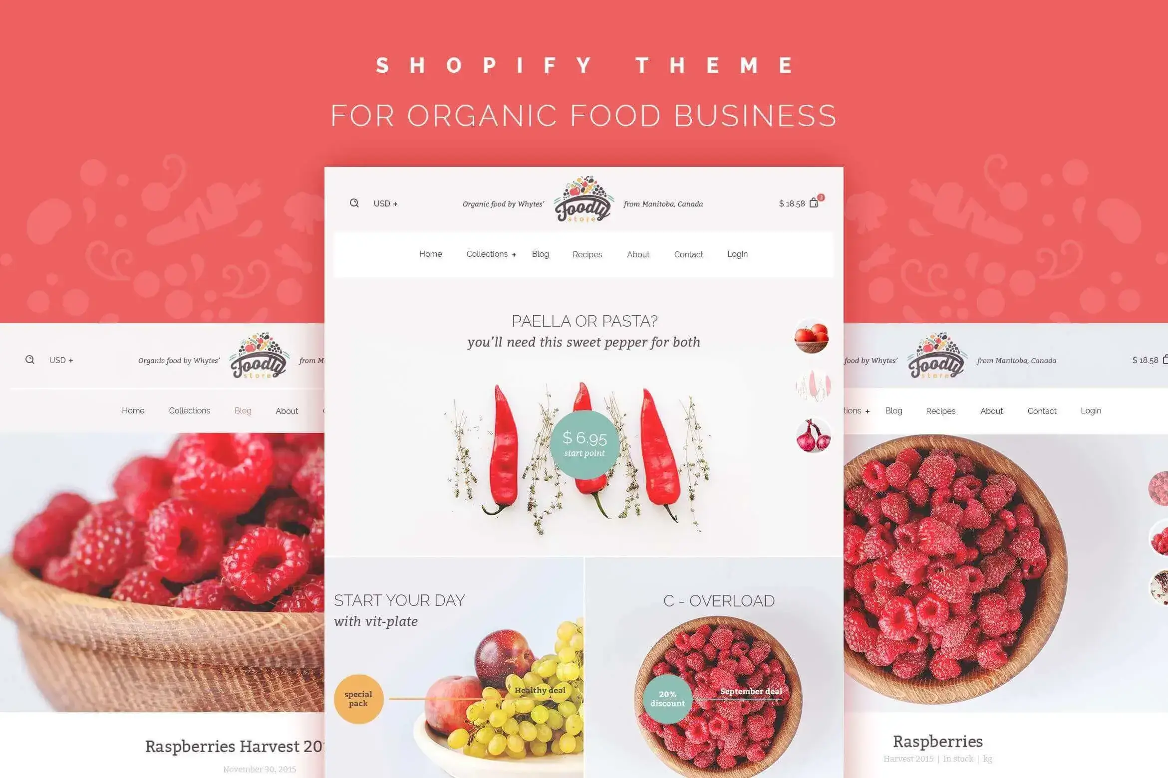 Food – All in one food template - Shopify templates